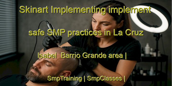 Skinart Implementing implement safe SMP practices in La Cruz Isabel  Barrio Grande area | SmpTraining | SmpClasses | SkinartTraining-Mexico